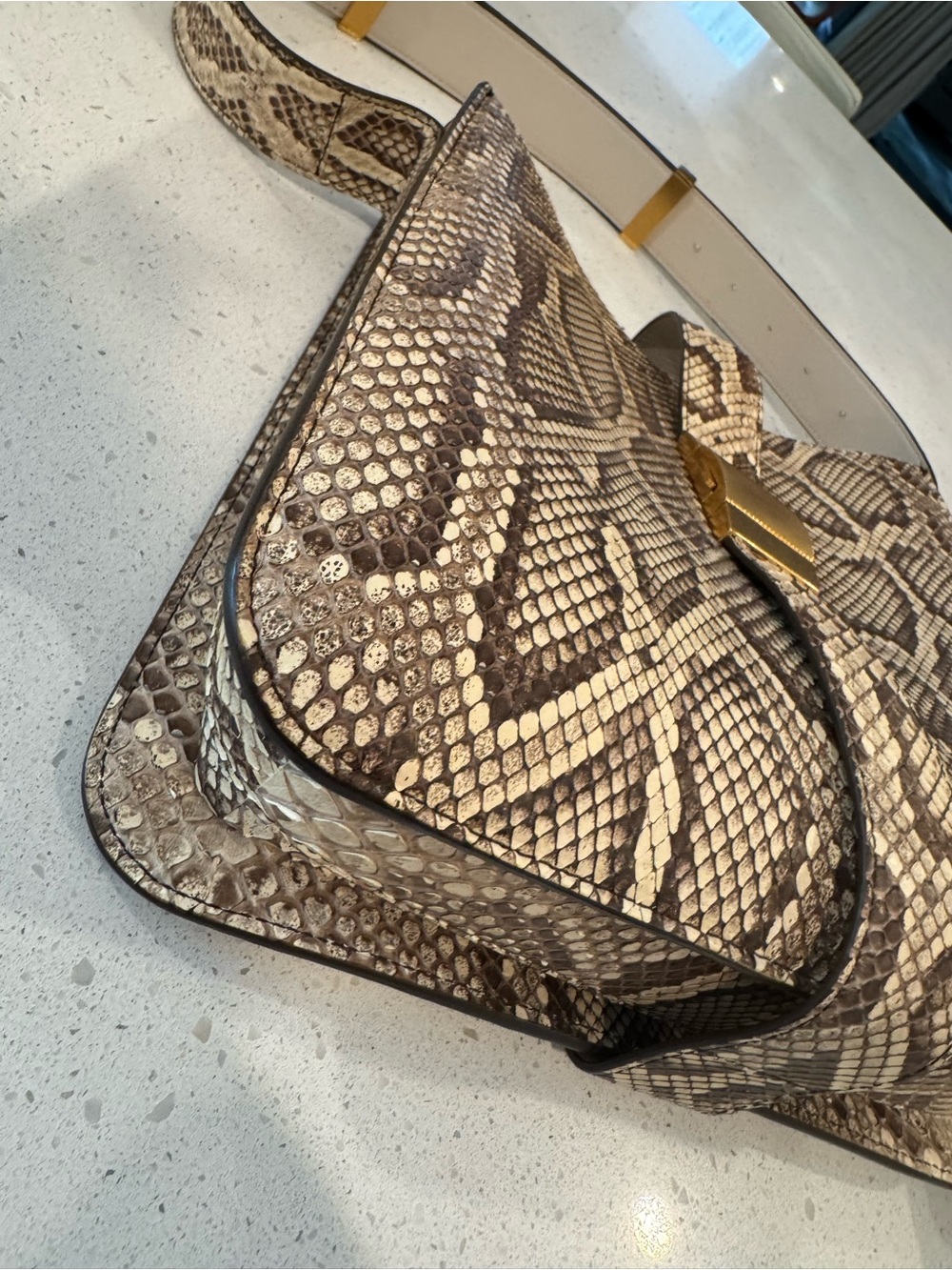 Bottega Veneta Python Marie bag - Picture 6 of 14